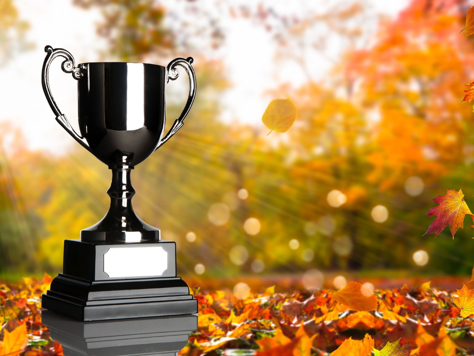 Shiny black trophy with blank plaque, set against autumn leaves and fall foliage background