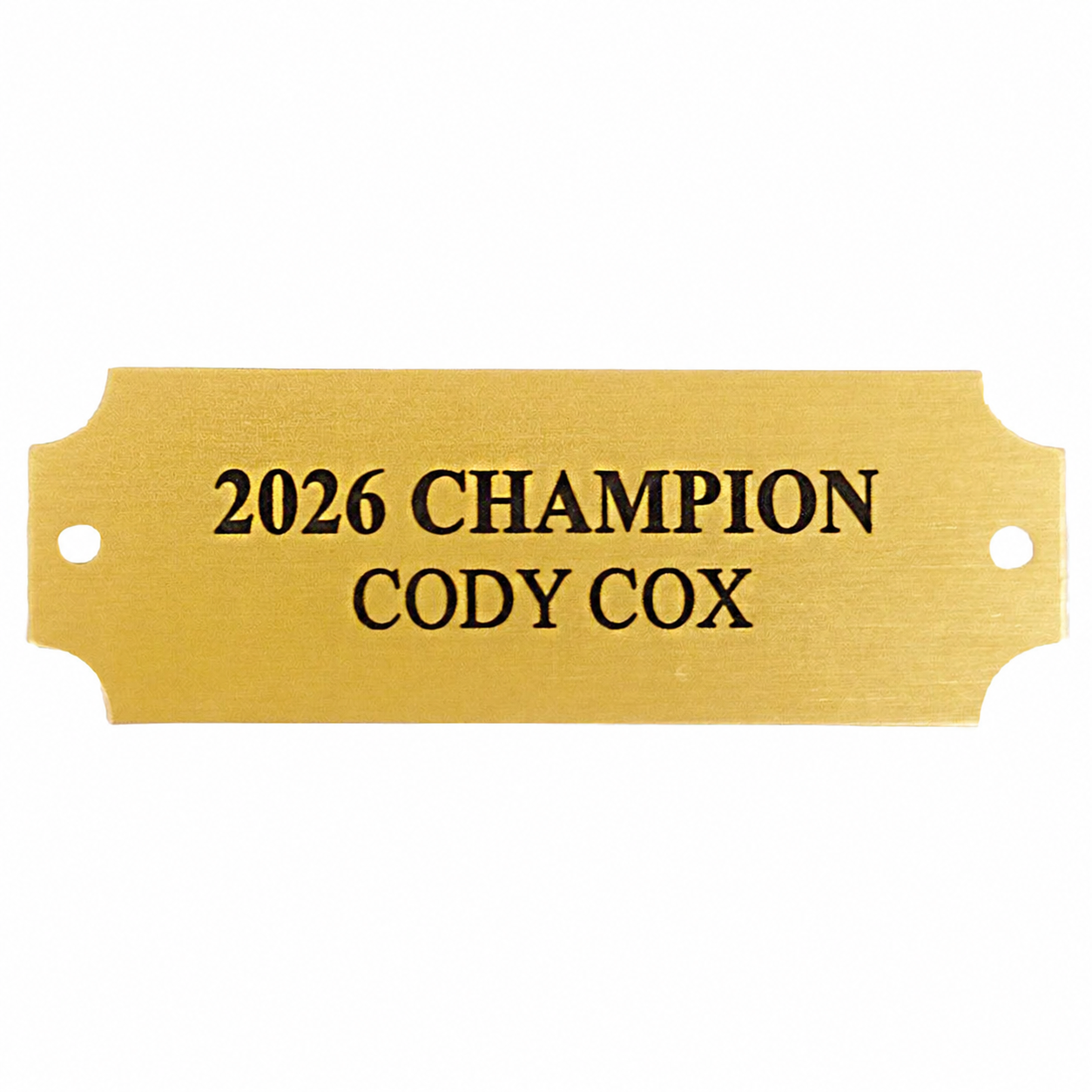 Small Gold Engraved Plate for Fantasy Trophies