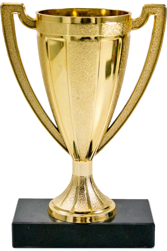 Traditional Loving Cup Trophy - Monarch Trophy Studio