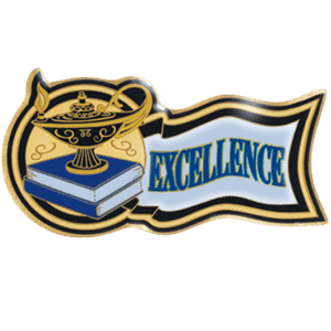 Excellence award pin with lamp and book, ideal for scholastic achievement or corporate recognition