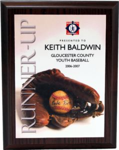 Babe Ruth Full Color "Team" Award Activity Plaques