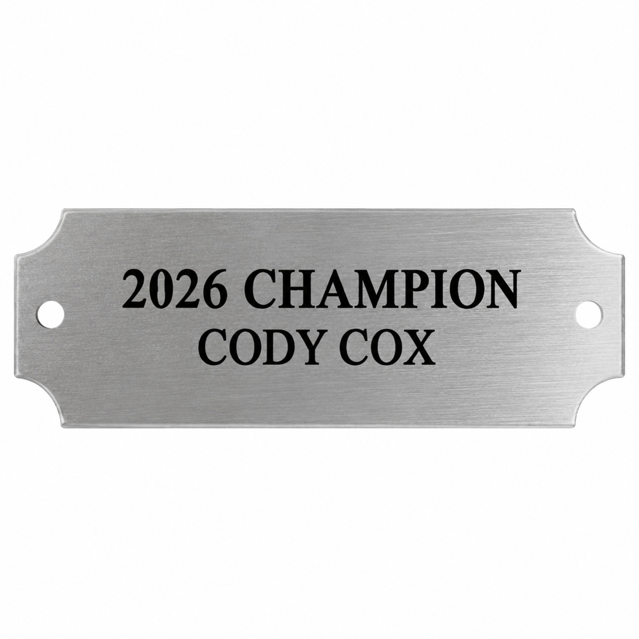 Small Silver Sublimated Plate for Fantasy Trophies