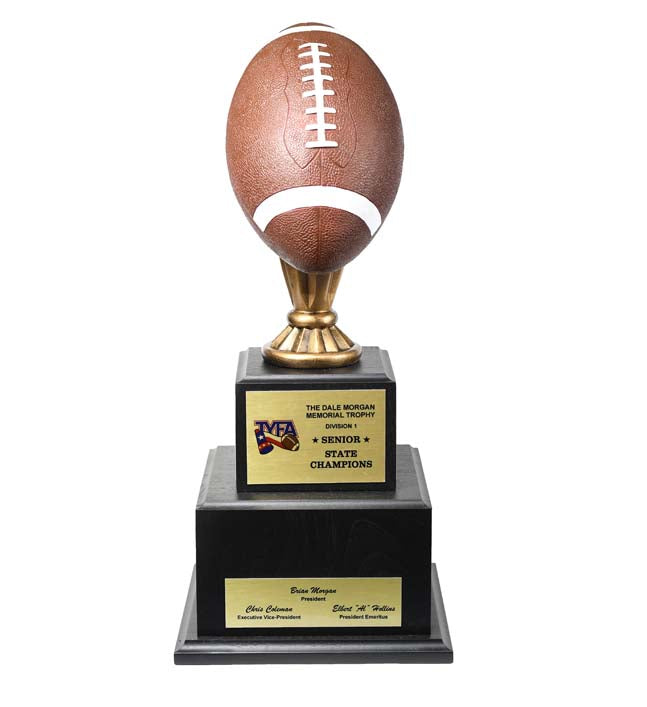 TYFA Champion Large Football Color Replica