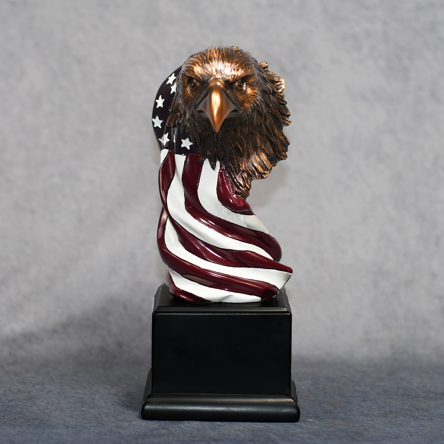 Eagle Head with the American Flag