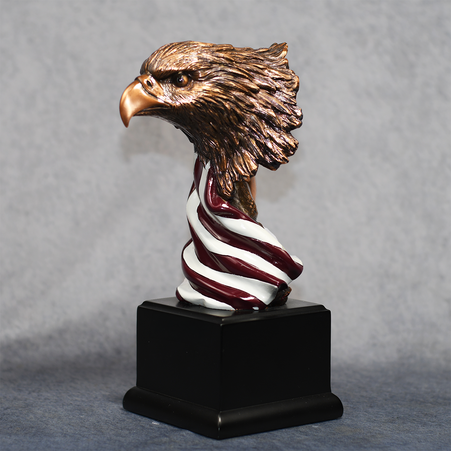 Eagle Head with the American Flag