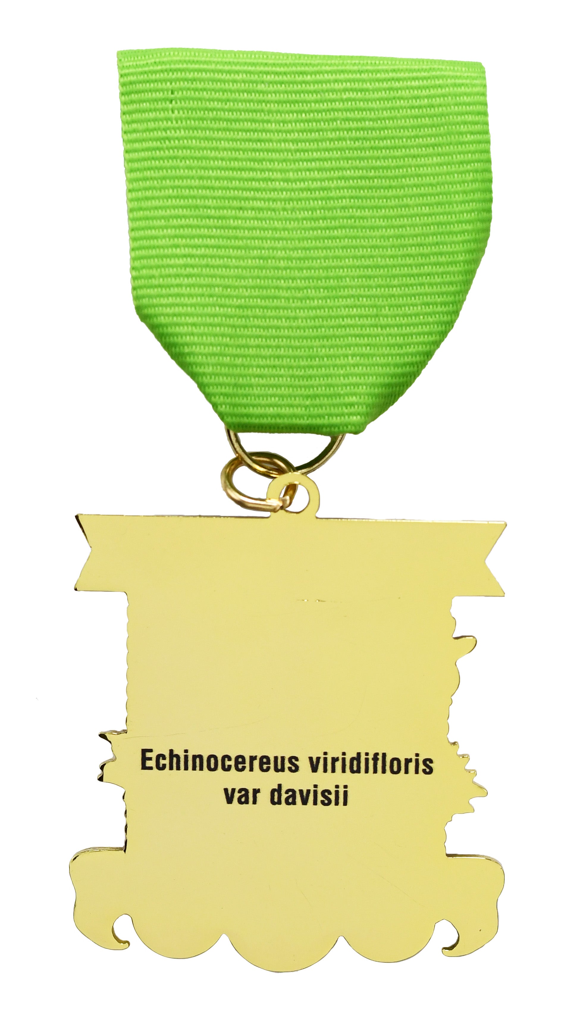 SA Cactus & Xerophyte Society 2026 Fiesta Medal