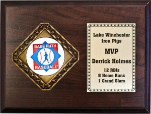 Horizontal Diamond Medal Plaque with Round Mylar Insert