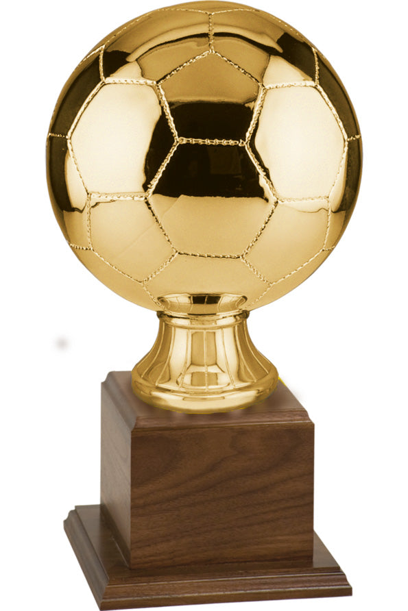 Balón de fútbol Réplica Balón deportivo Premio 