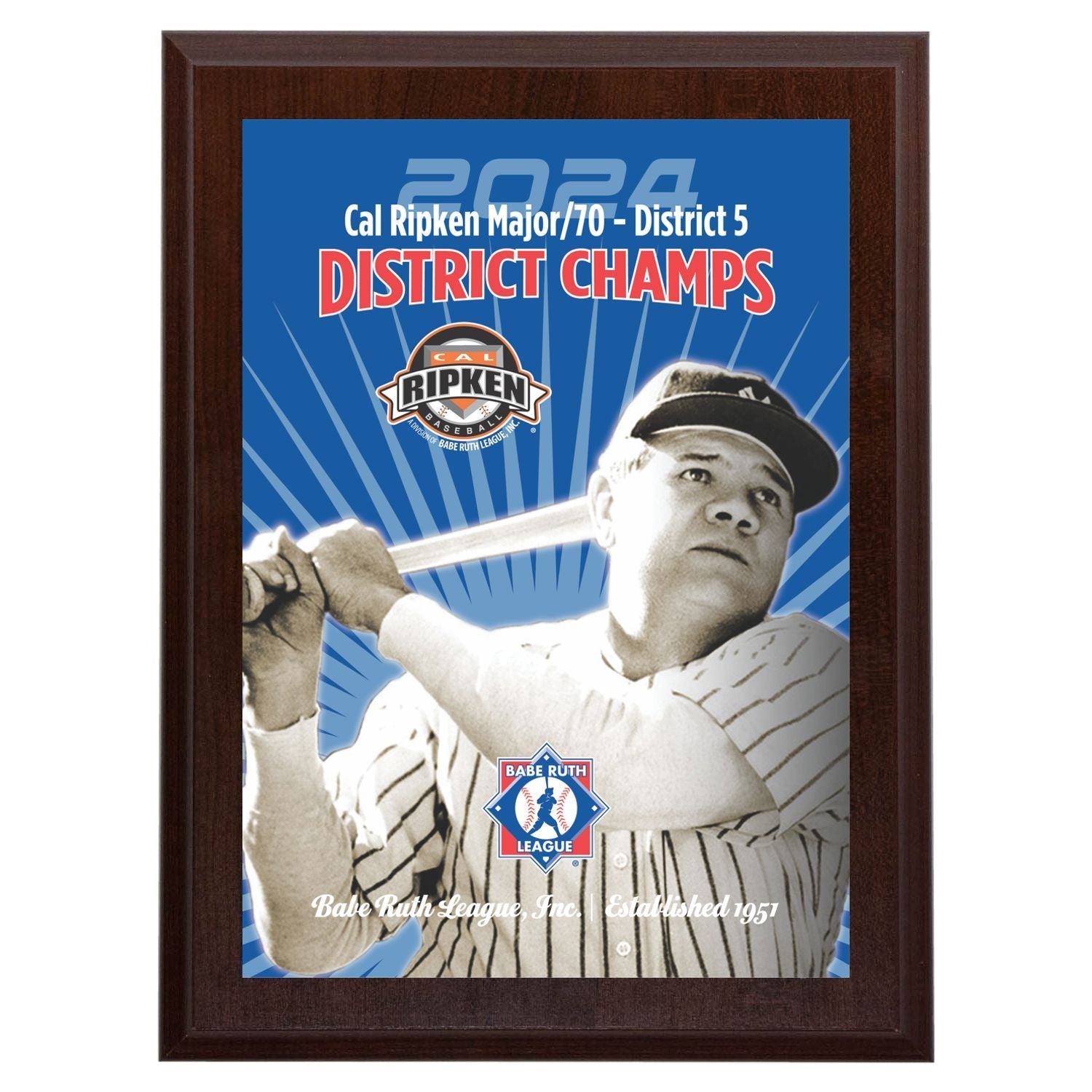 Babe Ruth Full Color District Award