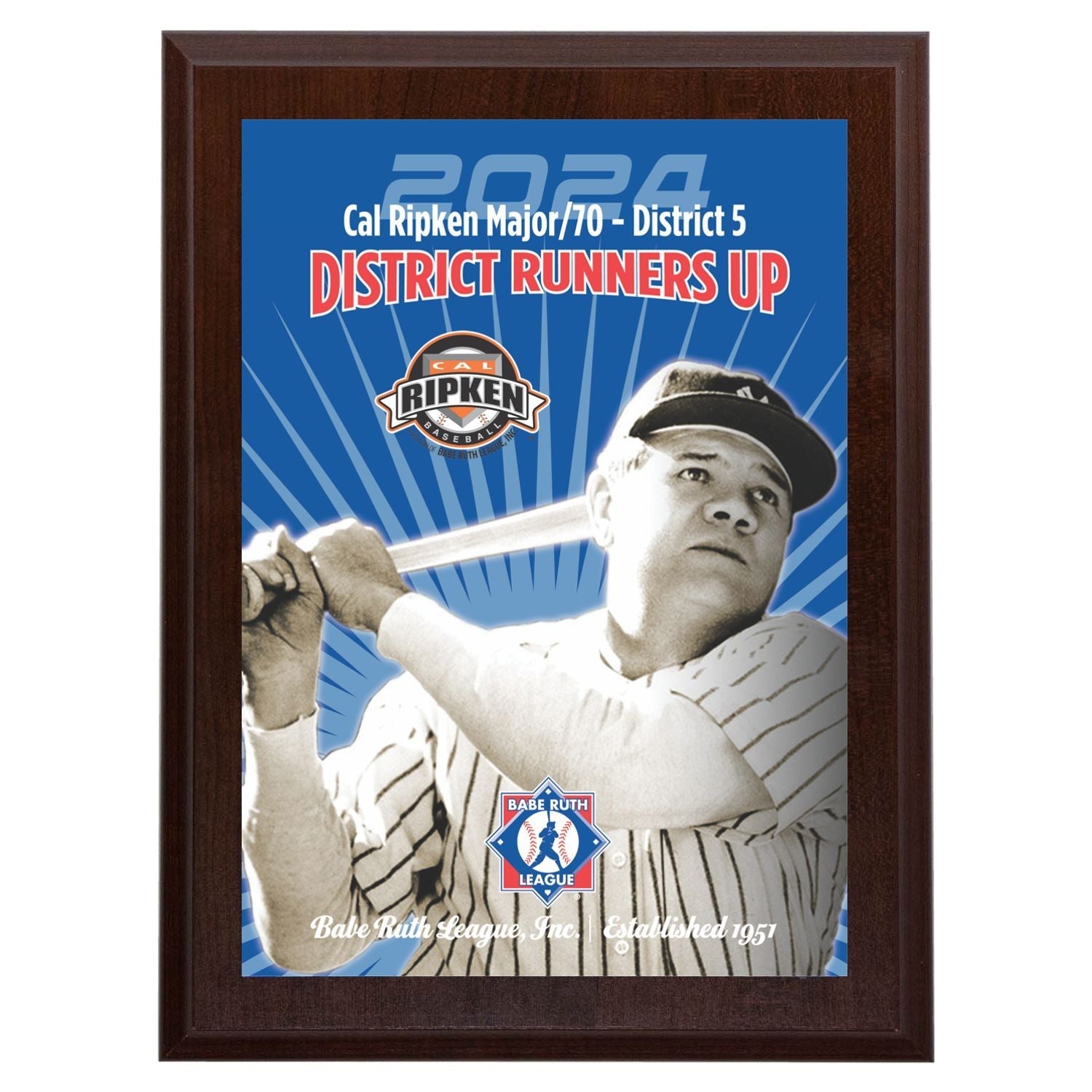 Babe Ruth Full Color District Award