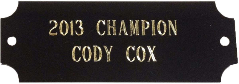 Small Black & Gold Engraved Plate for Fantasy Trophies