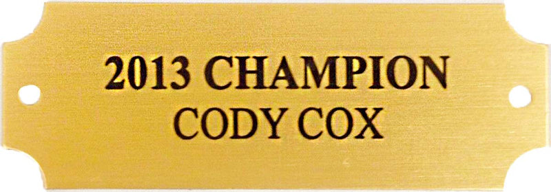 Small Gold Engraved Plate for Fantasy Trophies