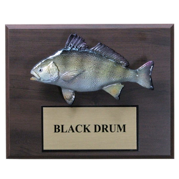 Fish Plaque - Monarch Trophy Studio