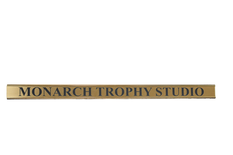 Single Metal Wall Mounts - Monarch Trophy Studio