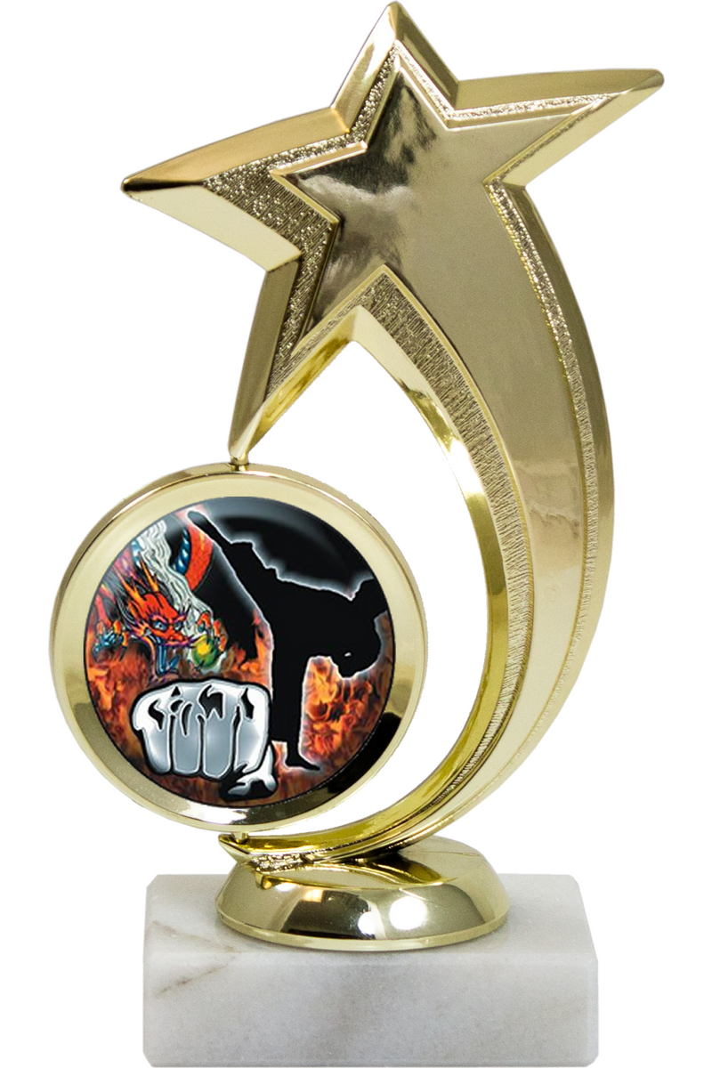 Gold Shooting Star award with Insert - Monarch Trophy Studio