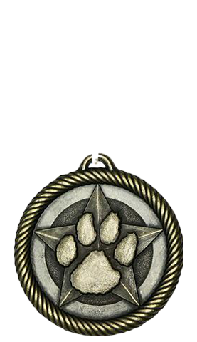 Value Medal Series Scholastic - Monarch Trophy Studio