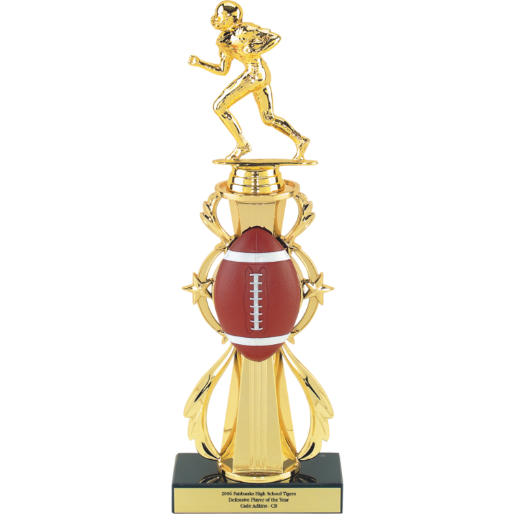 3D Full Color Sport Ball Star Riser Award Trophy - Monarch Trophy Studio