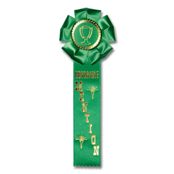 Rosette 1 Streamer Ribbon - Monarch Trophy Studio