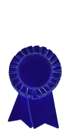 Rosette Insert Medal Medallions with Ribbons - Monarch Trophy Studio